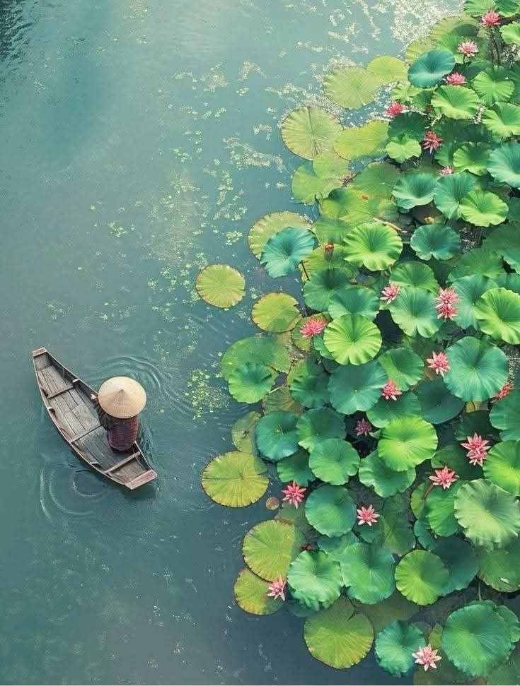 About Mellow Travel