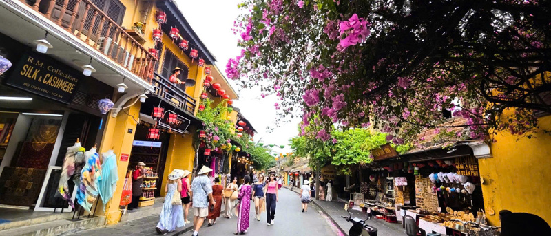 Hoi An Cooking & Lantern Day Tour